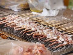 -吴淞炮台湾湿地森林公园烧烤区