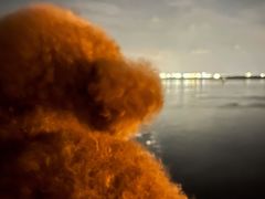 -奉贤海滩