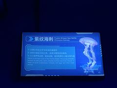 -大连圣亚海洋世界