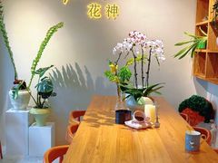 -花神·轻食简餐·咖啡馆·花卉绿植(荷兰花卉小镇店)
