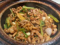 -煲煲好(朝阳门店)