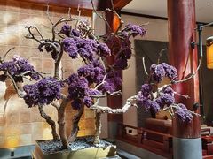 -西安华清御汤酒店