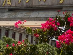 -鼓浪屿钢琴博物馆