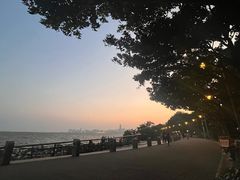 -深圳湾公园(南山区)