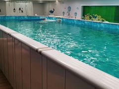 -水贝乐国际水育儿童游泳中心(新业广场店)