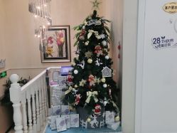 -紫洁俪方（北京）医疗美容