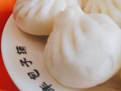 素三鲜-庆丰包子铺(天桥店)