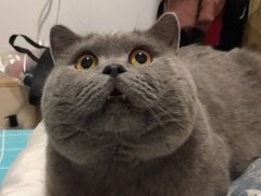 -宠颐生嘉德动物医院