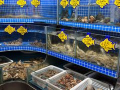 -丹东立强海鲜烧烤·牛B大串(星海店)