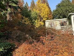 -上海虹桥迎宾馆