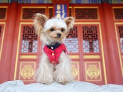 -盛世南宫影视城(北普陀影视城)