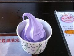 iphone_upload_pic-富田农场