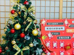 -猫十亿·布偶金渐层·曼基康矮脚猫舍(青年路店)
