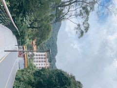 -深圳仙湖植物园