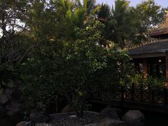 -西双版纳洲际度假酒店-海鲜傣味烧烤·侬香全日制餐厅