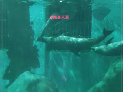 -福州罗源湾海洋世界旅游区