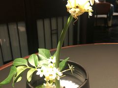 -三利音·玖弄小鲜(浦东嘉里城店)