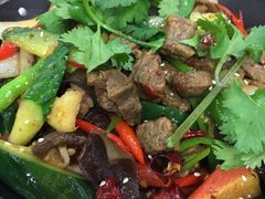 -乡土特色.冷锅鱼.牦牛肉汤锅