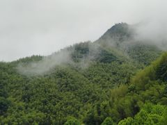 -鹿亭中村