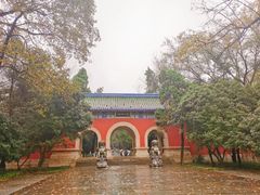 -灵谷景区
