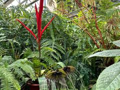 -国家植物园南园