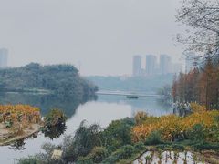 -重庆彩云湖湿地公园