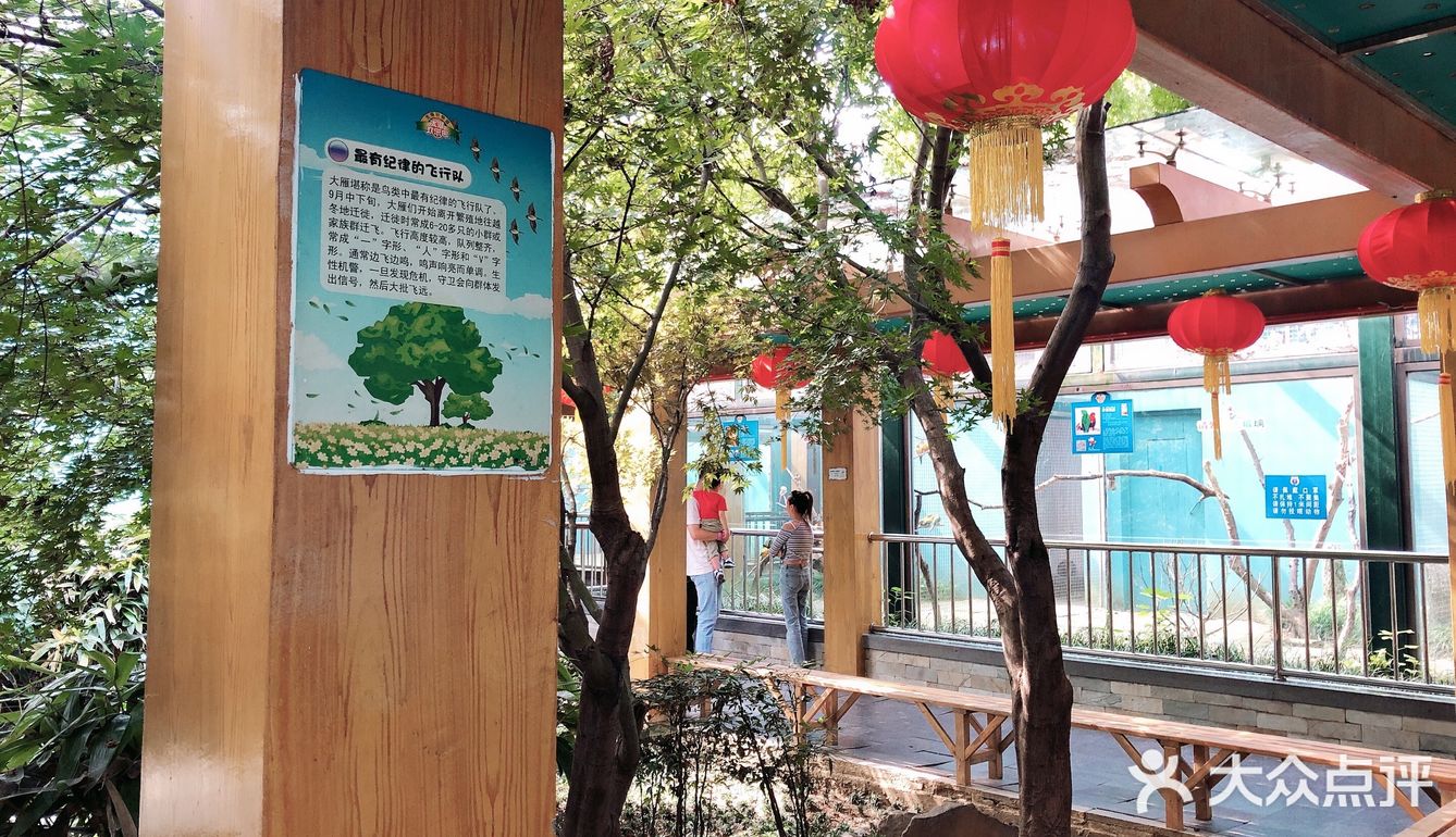欢乐游玩动物园
