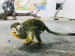 -西安秦岭野生动物园