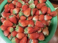 -江杨农产品批发市场