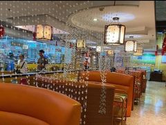 -小背篓菌汤火锅(济阳店)