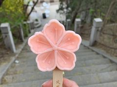 -北京凤凰岭
