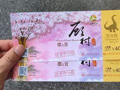 -自然谷恐龙园