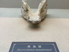 -重庆中国三峡博物馆(重庆博物馆)