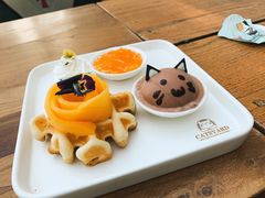 -猫小院猫主题咖啡厅(北锣店)