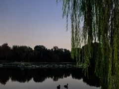 -万柳高尔夫俱乐部