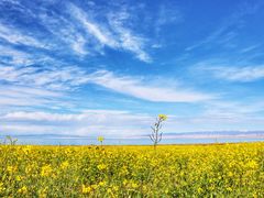 -青海湖国家重点风景名胜区