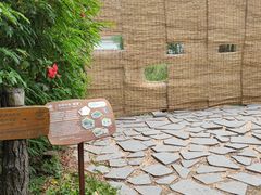 -华侨城湿地公园