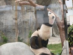 -香港海洋公园
