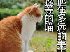 -玩客超乐场(和瑞欢乐城常德店)