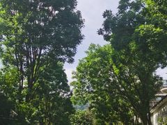 -上王村王家三合院农家乐