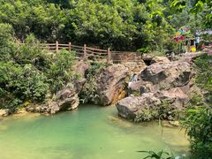 -南海湾森林生态园