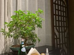 -悦融·京鲁菜·露台花园(安定门店)