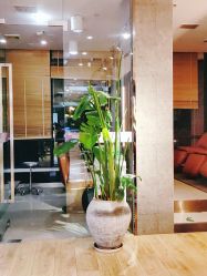 -意廊 Hair Salon