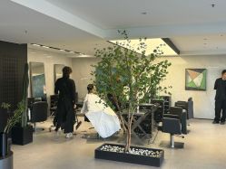 -付军剪艺JF ProSalon