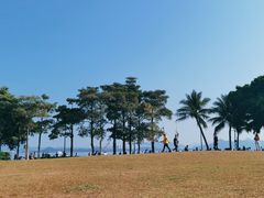 -深圳湾公园(南山区)
