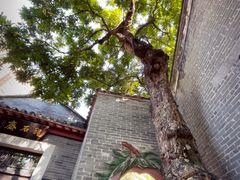 -民信老铺(华盖路店)