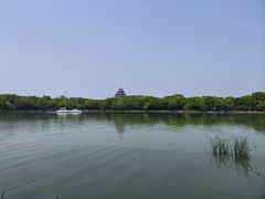 -金鸡湖桃花岛
