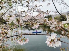 -南京城墙景区