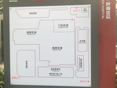 -北京大学肿瘤医院