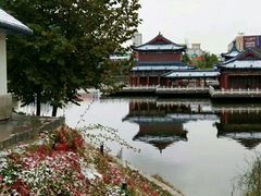 -雁滩公园